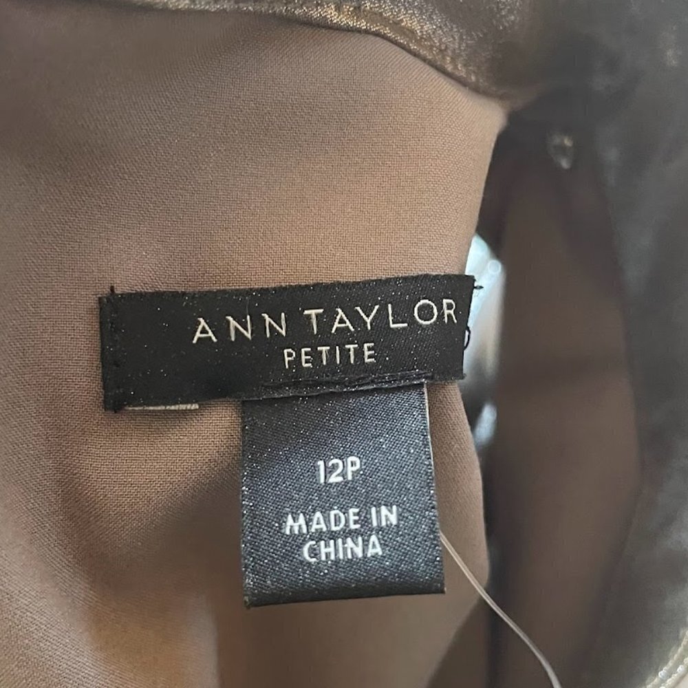 NWT Ann Taylor Dress Metallic Mock Pleated Shimmer Chiffon Cocktail New Years - Picture 8 of 12